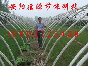 蔬菜大棚价格