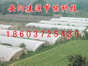 商丘蔬菜大棚批发