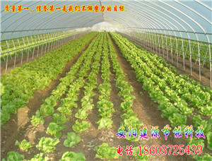商丘新型大棚造价
