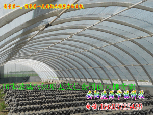 周口食用菌大棚建设