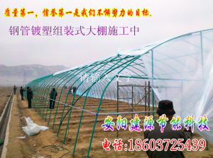 平顶山钢管镀塑春秋大棚
