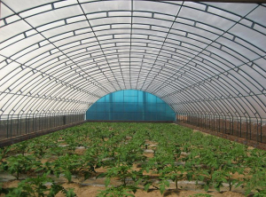 开封钢管镀塑种植养殖大棚