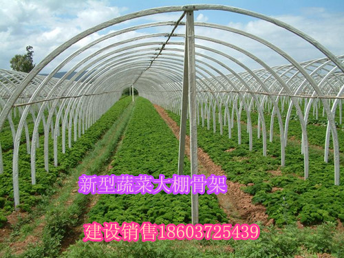 塑料大棚骨架