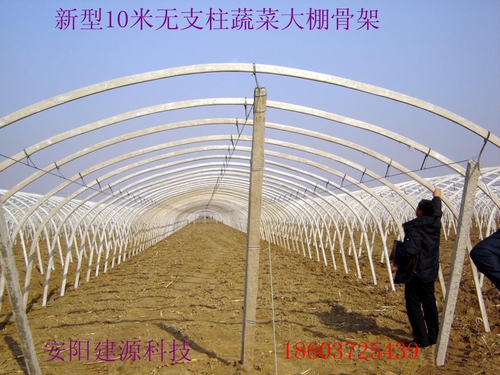 平顶山农用蔬菜大棚骨架