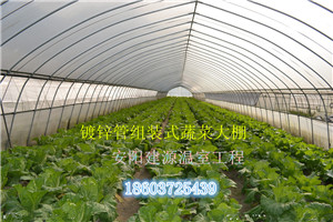 三门峡新型花卉温室大棚骨架