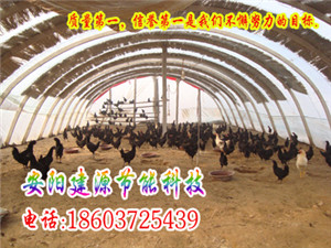 养殖大棚建设