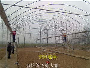 专业大棚建设施工