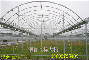 大棚建设厂