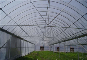 大棚建设建造