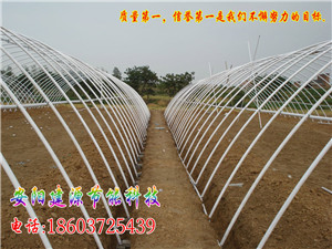 蔬菜大棚怎么建设
