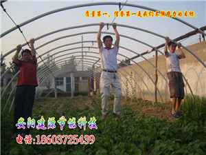 山西大棚建造