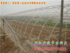 邯郸塑料大棚骨架