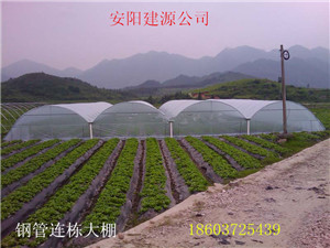 周口日光连栋蔬菜大棚
