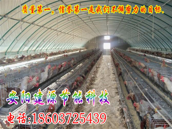 养鸡大棚