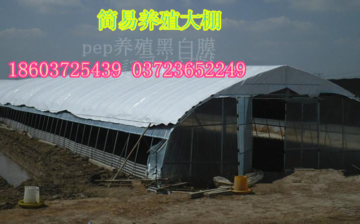 简易养殖大棚