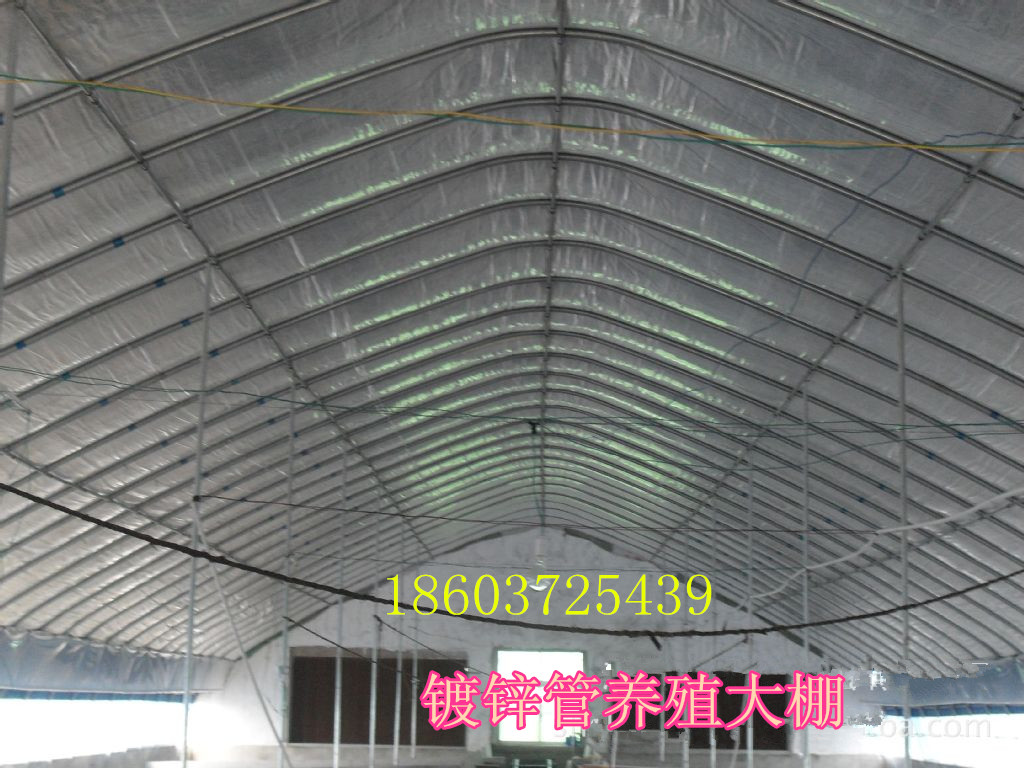 钢架养殖大棚