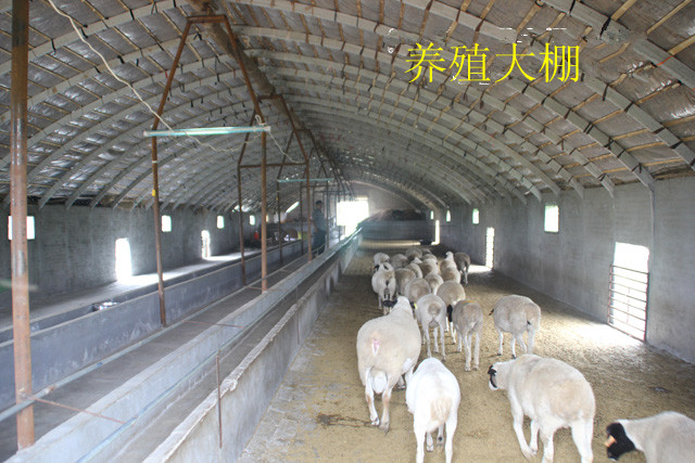 养羊大棚