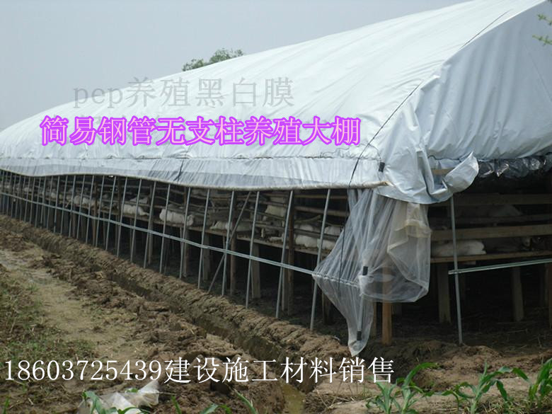 养兔养鸽子大棚