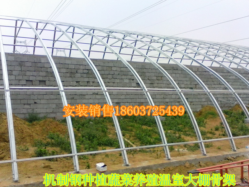 平顶山机制钢蔬菜种植养殖温室大棚骨架