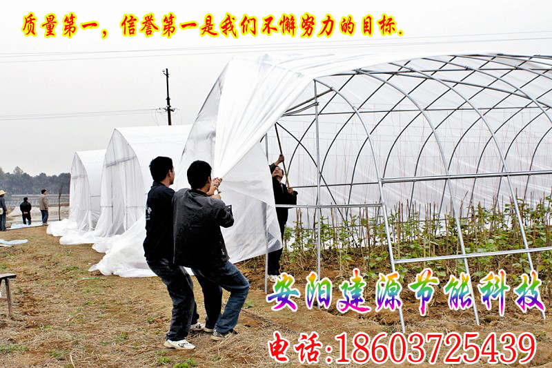 蔬菜大棚怎么建造