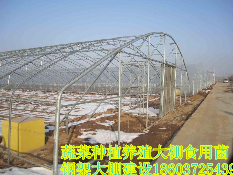 钢架蔬菜大棚