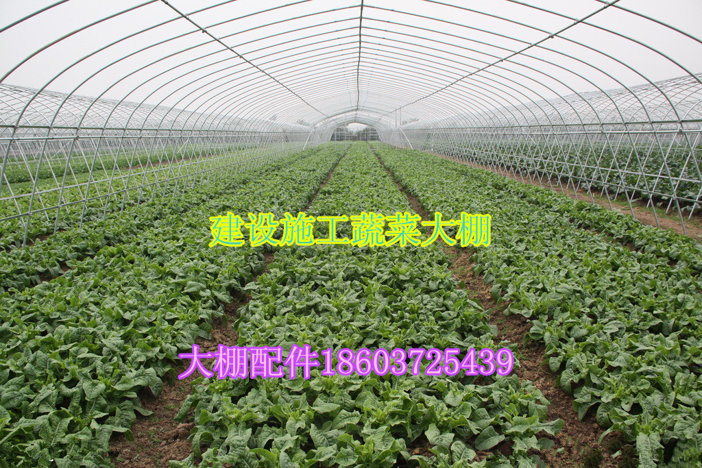 蔬菜大棚技术