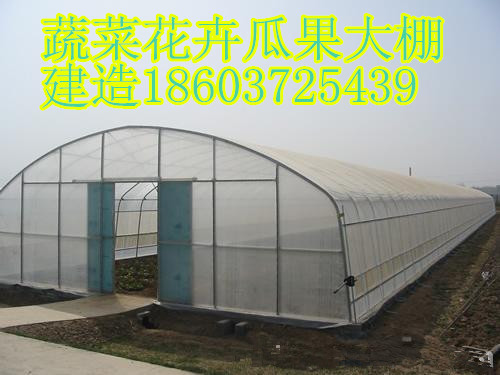 新型蔬菜大棚