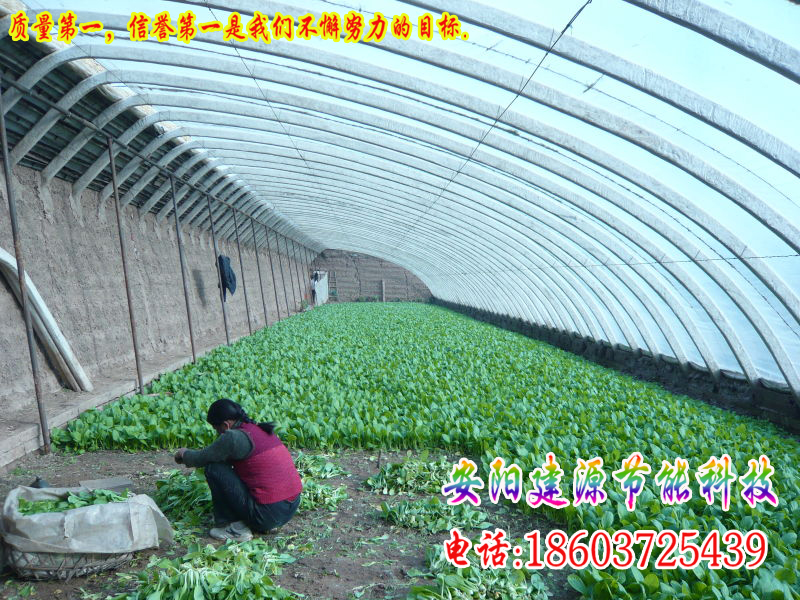 蔬菜温室大棚
