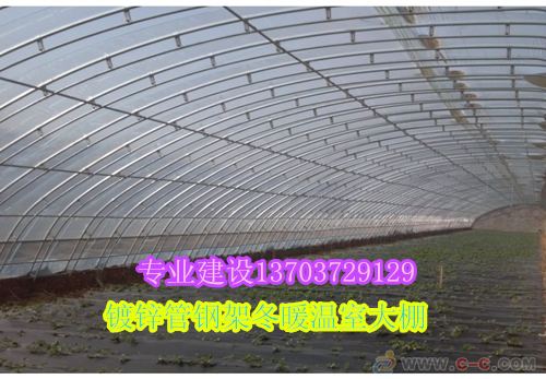 塑料温室大棚