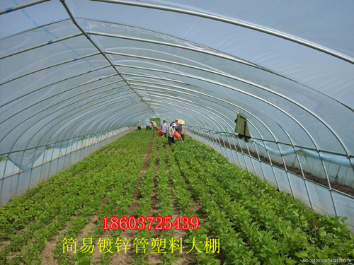 蔬菜钢管大棚