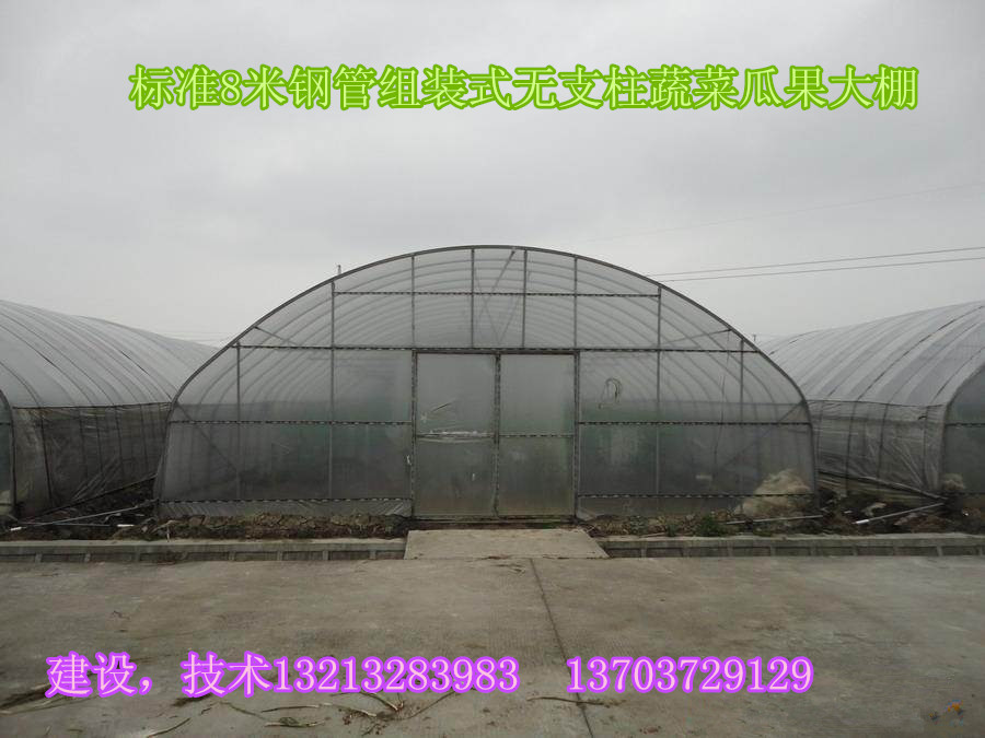 钢管大棚价格