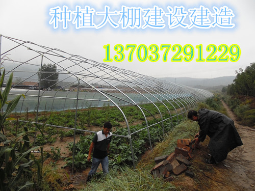 平顶山钢管大棚建造施工