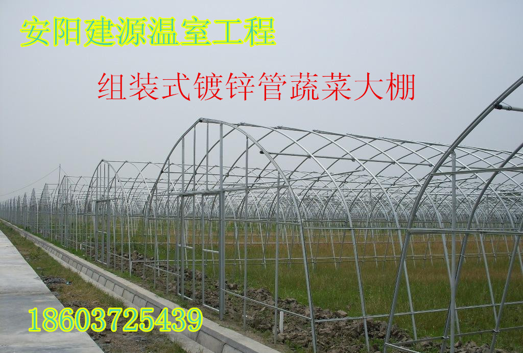 周口钢管大棚哪家好哪里便宜