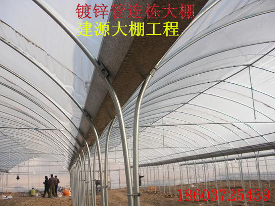 周口钢管连栋大棚
