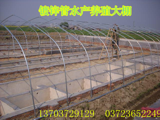 钢管水产养殖大棚