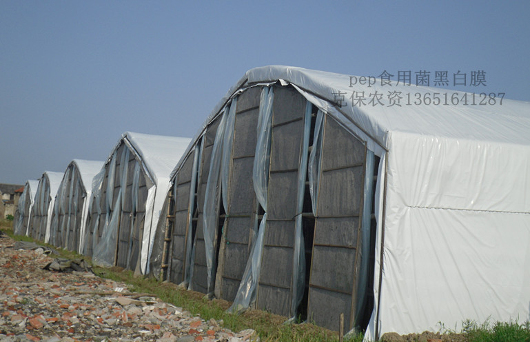 周口食用菌大棚搭建方法