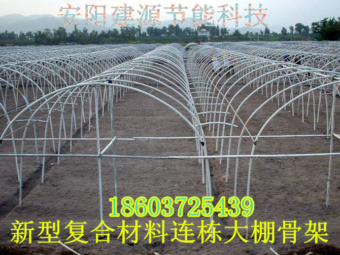 简易连栋大棚