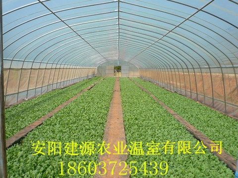 种植大棚
