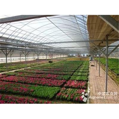 邯郸花卉大棚造价