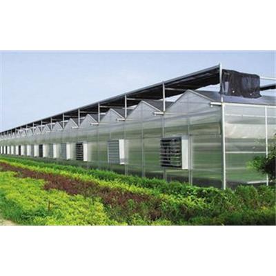 三门峡花卉大棚建设