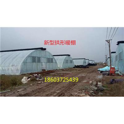 新型冬暖温室大棚