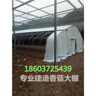 香菇大棚