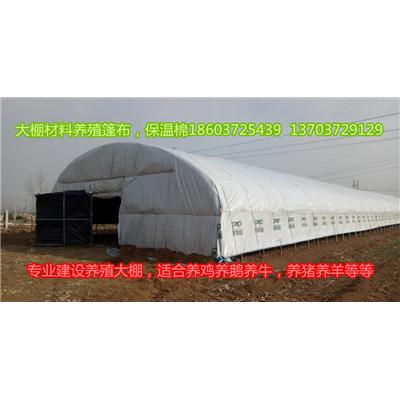 养殖大棚怎么建