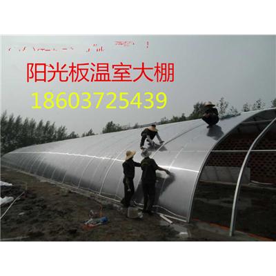 阳光板温室大棚