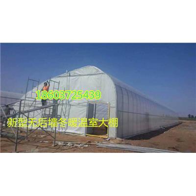 新型冬暖温室大棚