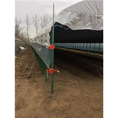 专业鸡棚搭建